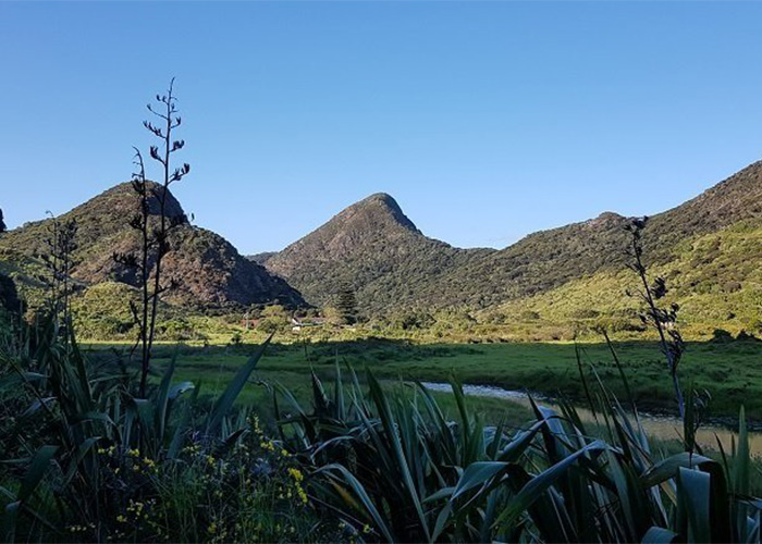 whatipu valley beach